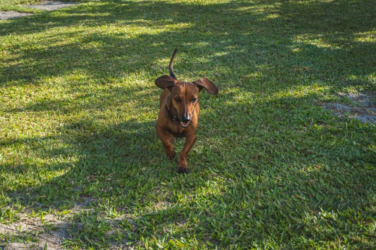 Casa Vista Para Montanha Pet Friendly 까라과따뚜바 외부 사진